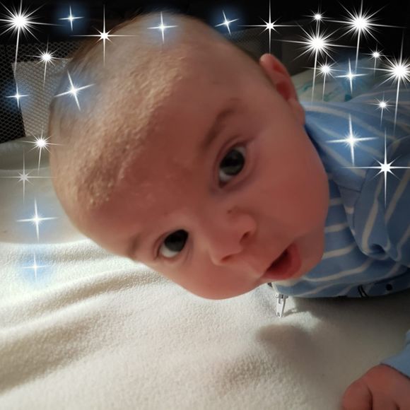 Meet your Posher, Ana - Picture 1 of 1